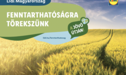 A Lidl kiadta 3. fenntarthatósági jelentését