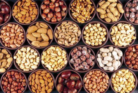 Proposed new US dietary guidelines may prioritise plant proteins