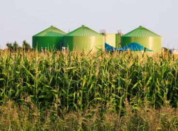 The future of biogas is also our future