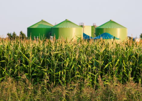 The future of biogas is also our future