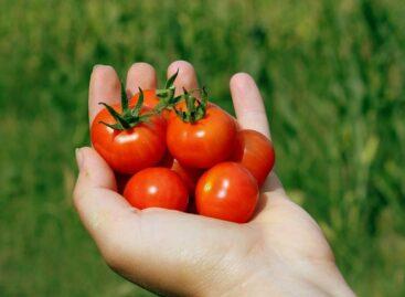 AKI participates in the carbon farming project supported by the European Commission