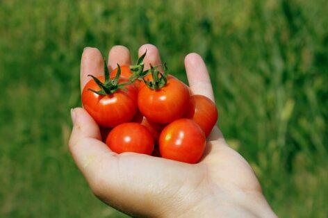 AKI participates in the carbon farming project supported by the European Commission