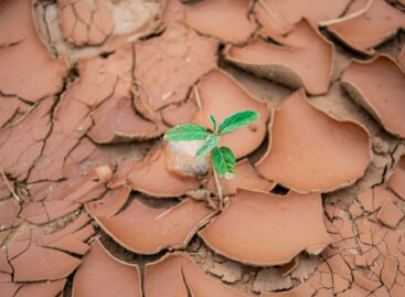 Biodiverzitás Konferencia: 300 milliárd euró kárt okoznak évente a Földet sújtó szárazságok