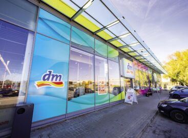 Dm invests in prices, technological development and its store network