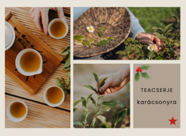 Tea garden near Budapest? Yes! And now anyone can be a part of it!