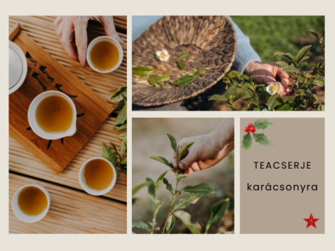 Tea garden near Budapest? Yes! And now anyone can be a part of it!