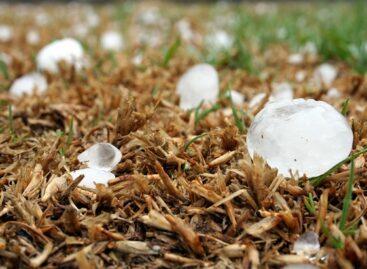 Charges brought against man who railed against hail damage mitigation system