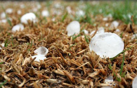 Charges brought against man who railed against hail damage mitigation system