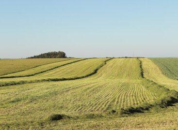 Livestock production continues to grow