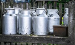 Milk vs. plant-based drinks: big differences in carbon footprint and water requirements