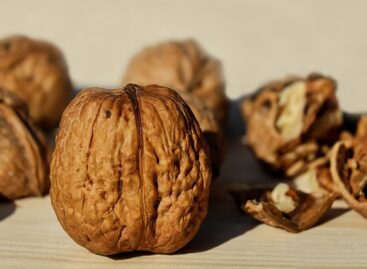 Chamber of Agriculture: Demand for walnuts is picking up, plantation size has increased