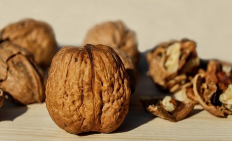 Chamber of Agriculture: Demand for walnuts is picking up, plantation size has increased