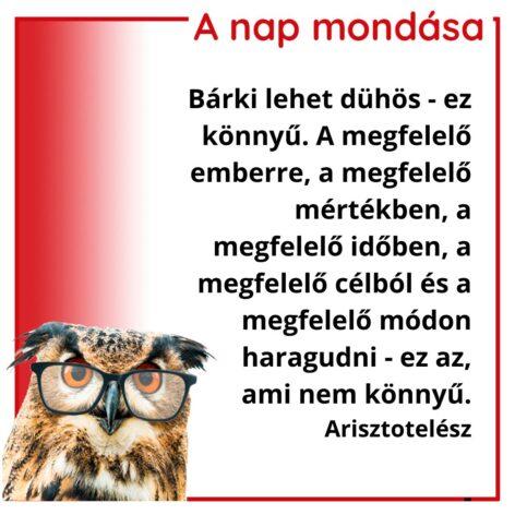 (HU) A nap mondása