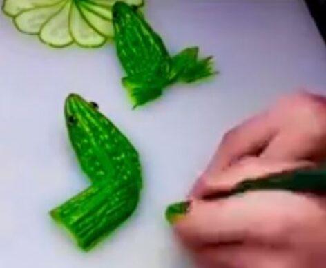 Cucumber Frog – Video of the Day