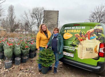 Million-dollar donation for sustainability: Popular online supermarket supports national tree planting program