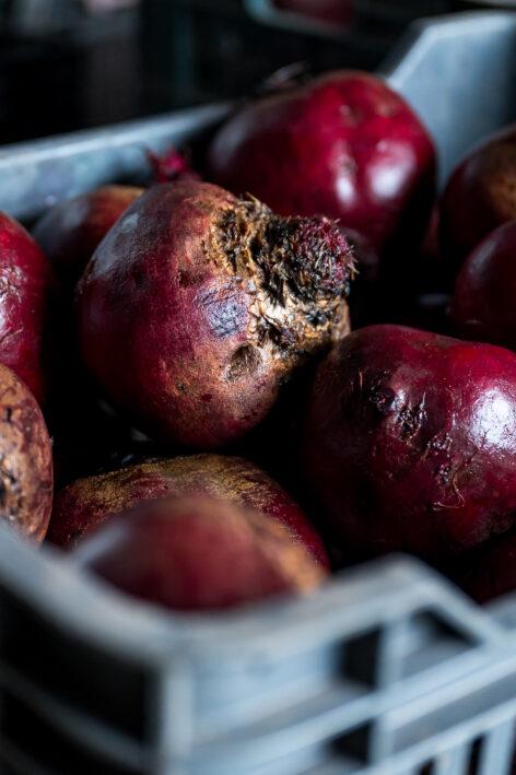 Beetroot is an increasingly popular vegetable among both producers and consumers