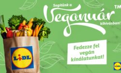 Lidl becomes a featured food chain partner of VEGANUÁR™ 2025