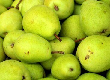 No significant change in pear prices