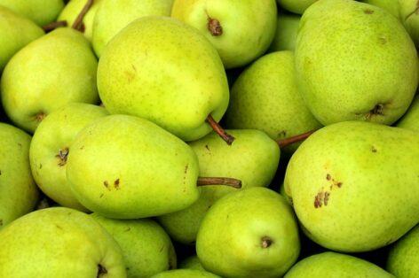 No significant change in pear prices