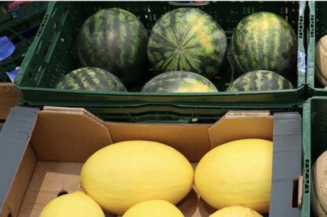 The domestic melon season starts in February at Tesco