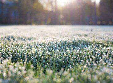 Agrometeorology: hard frosts and heavy rainfall were much needed