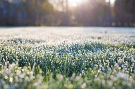 Agrometeorology: hard frosts and heavy rainfall were much needed