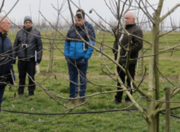 Dió bemutatót és érzékszervi bírálatot tartott a Nébih a Pölöskei Fajtakísérleti Állomásán