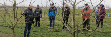 Dió bemutatót és érzékszervi bírálatot tartott a Nébih a Pölöskei Fajtakísérleti Állomásán