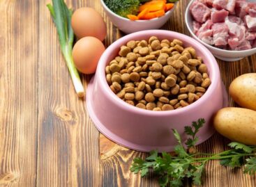 The Nutriment Company buys German pet-food business BAF