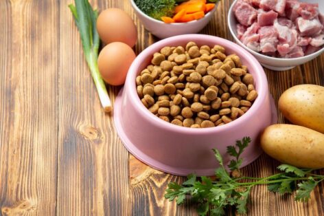 The Nutriment Company buys German pet-food business BAF