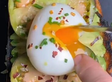 The Apotheosis of Half an Avocado – Video of the Day