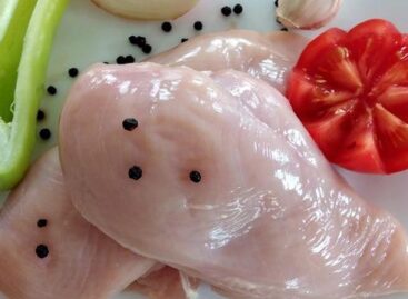 Rising prices, declining exports – the Hungarian poultry sector shows a mixed picture