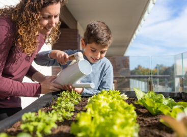 More than 17 million colorful seed packets will find their owners this season