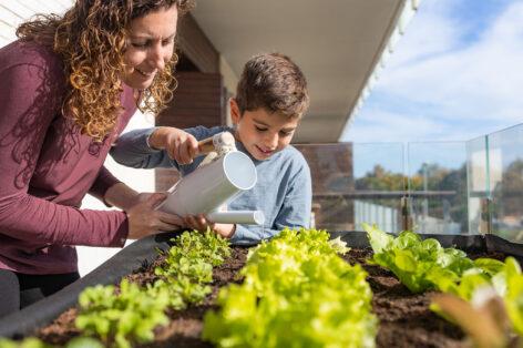 Több mint 17 millió színes tasakos vetőmag talál gazdára az idei szezonban