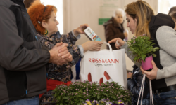 Rászoruló hölgyek nőnapját tette szebbé a Rossmann