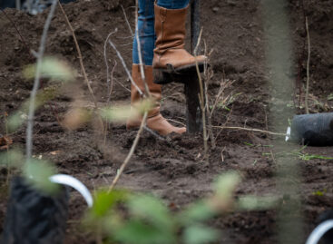 National Tree Planting Day is also supported by Zwack Unicum Plc.