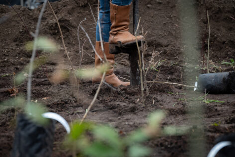 National Tree Planting Day is also supported by Zwack Unicum Plc.