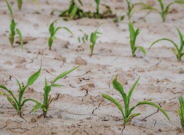 Climate change research group formed at the University of Szeged