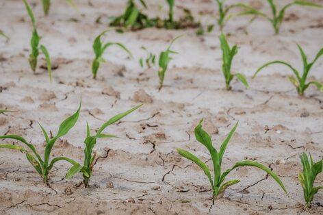 Climate change research group formed at the University of Szeged