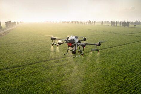 Fungicide sprayer gets permission to be applied by drone in Hungary