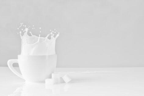 Amazing price hike on the dairy product market – more and more people may turn to imports