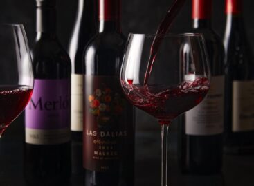 M&S INTRODUCING AI TOOL TO HELP CUSTOMERS CHOOSE THE PERFECT WINE