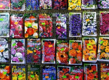 Seed Association: More than 17 million sachets of seeds will find their home this season