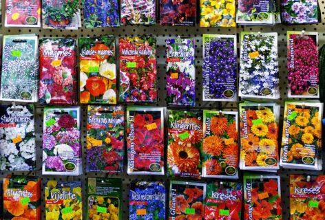 Seed Association: More than 17 million sachets of seeds will find their home this season