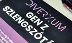 Megjelent Magyarország legátfogóbb Z-generációs kutatása