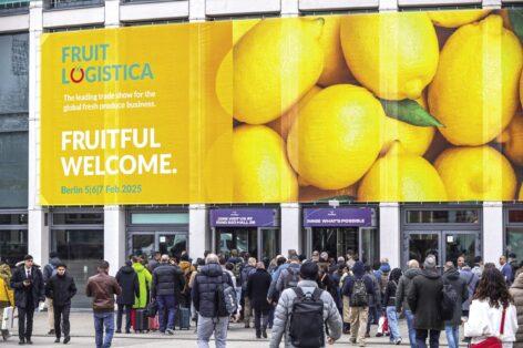 Business, innovation and networking: FRUIT LOGISTICA