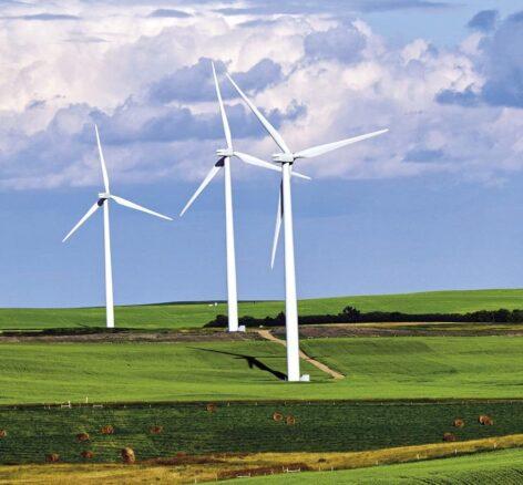 ESG shift in HR: equality takes a back seat, environmental protection comes to the fore