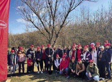 Henkel and the 10 Million Trees Foundation plant 1,800 trees