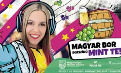 Sokszínű magyar bor