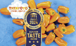 Tatayoyo – pepper